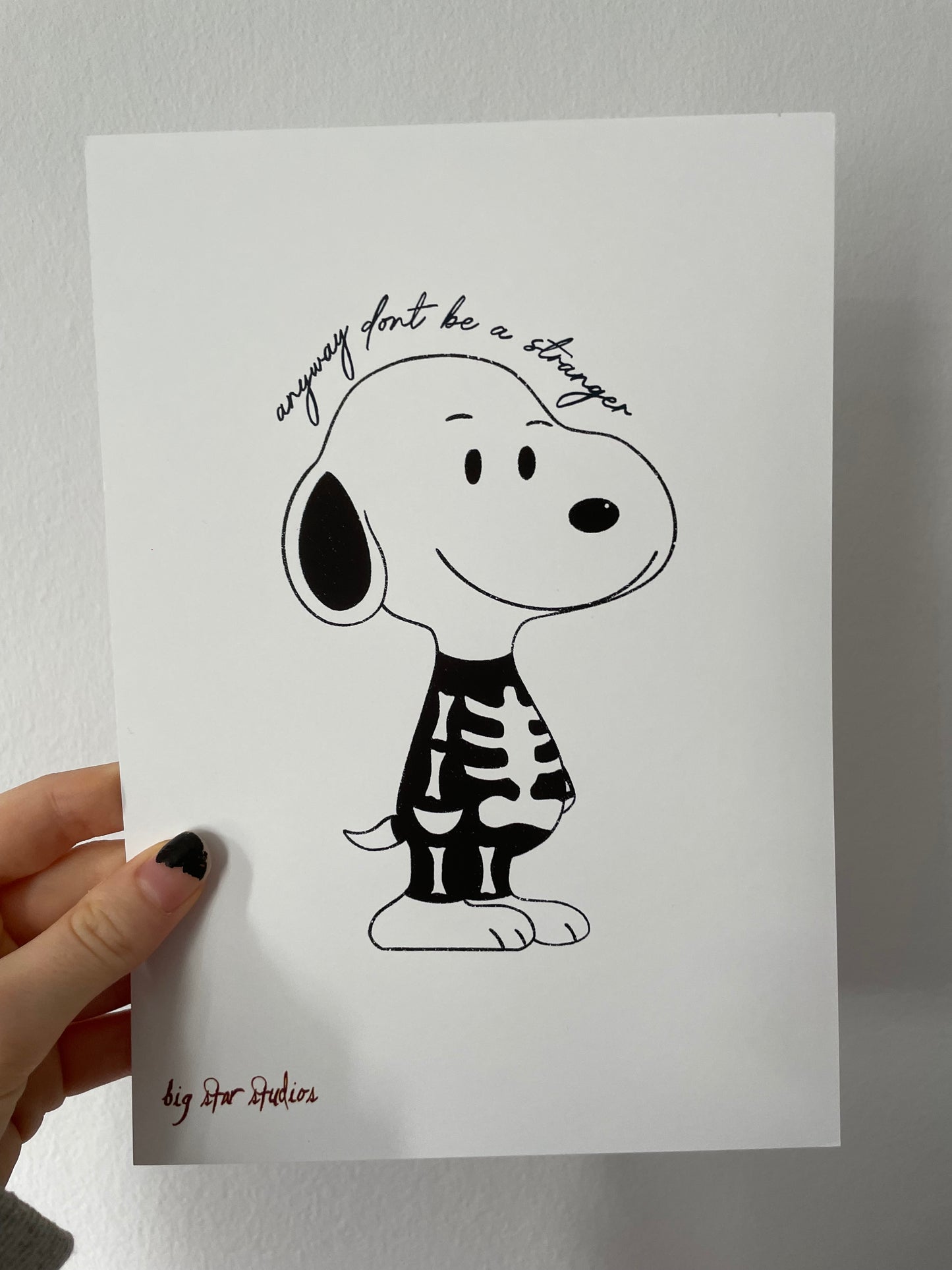 snoopy bridgers bundle
