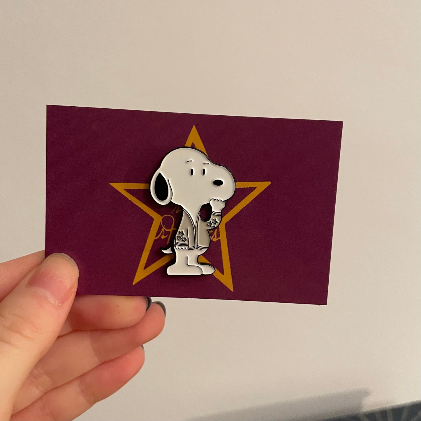 snoopy swift bundle